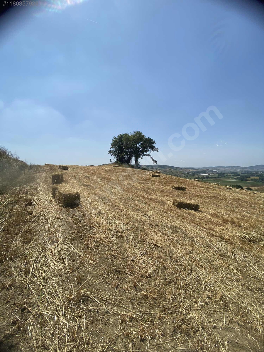 SAHİBİNDEN UYGUN HEM YATIRIM HEM TİCARİ ARSA BURADA TEK 5.613m2 - KOCAELİ DERİNCE fotoğraf 7